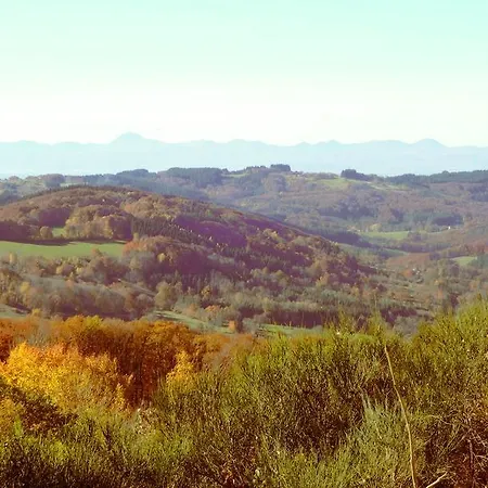 Naturavous